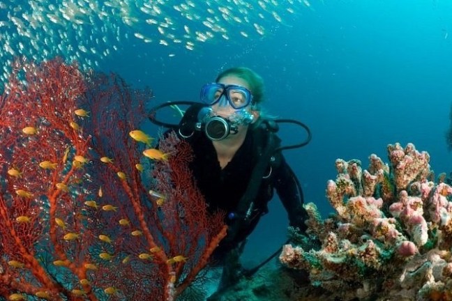 underwater view of a swimming pool